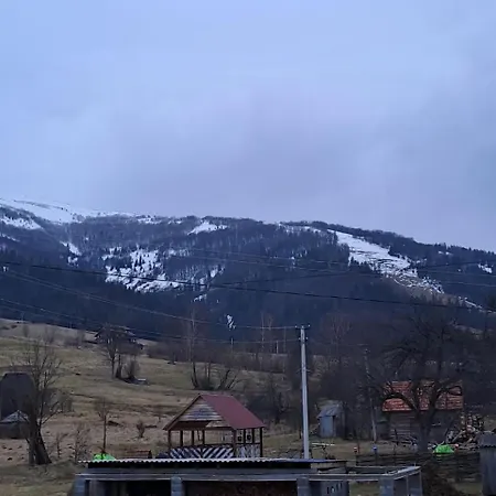 лимонний дім Pilipets