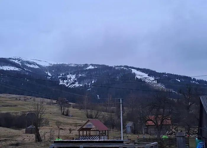лимонний дім Pilipets