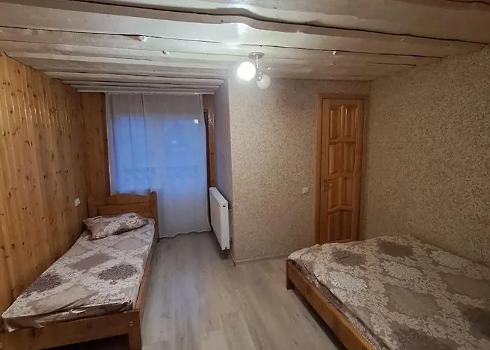 ゲストハウス лимонний дім