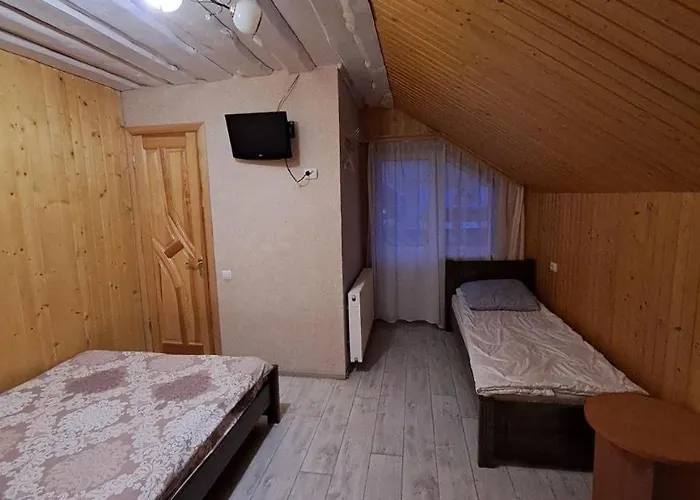ゲストハウス лимонний дім